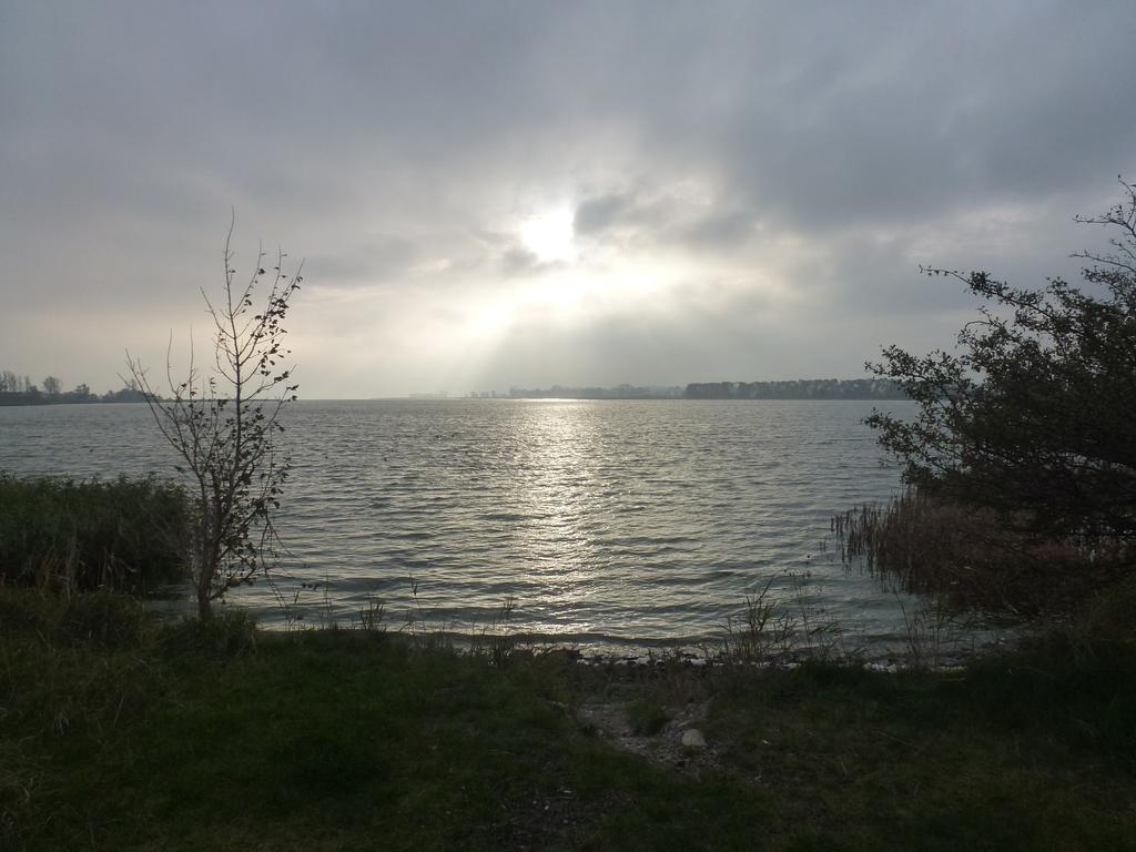 Strandlaeufer Zempin Ruang foto